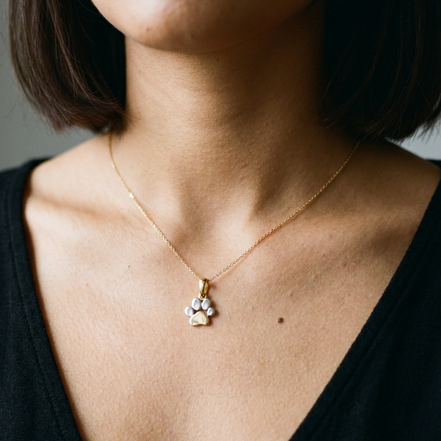 Anhänger Kette Pfote - Tatze Gelb- und Weißgold 585