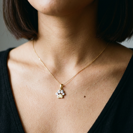 Anhänger Kette Pfote - Tatze Gelb- und Weißgold 585