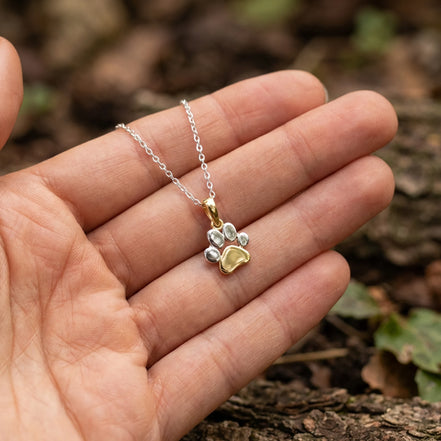 Anhänger Kette Pfote - Tatze Gelb- und Weißgold 585